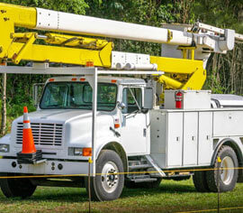 Gallery Image 003